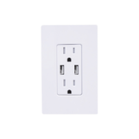 LUTRON ELECTRONICS CAR15UBTRWH TOMACORRIENTE 15 AMP CONECTOR