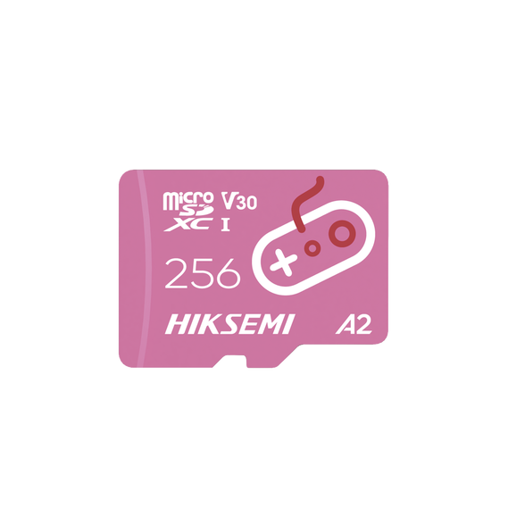 HIKSEMI by HIKVISION HS-TF-G2/256G Memoria Micro SD / Enfoca