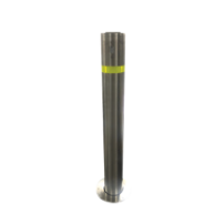 AccessPRO XB-900-RL Bolardo retráctil de Acero Inoxidable de
