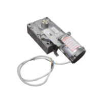 CAME 119-RIG198 Refacción / Motorreductor para barreras GARD