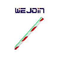 WEJOIN TVB151038 WEJOIN WJLBM6 - Brazo Recto Octagonal , WJLBM6