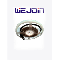 WEJOIN WJN0990039 WEJOIN WJBLED6 - Tira de 6 metros / C, WJBLED6