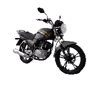 DINAMO DIN3010002 DINAMO_U5_ZH150-7A_2025 - MOTOCICLETA, U5GRIS